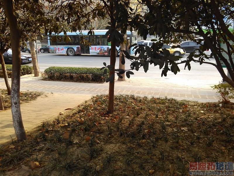 ����2��ȫ����������Ϊ��ҫ�����ɴ��� ��������Note