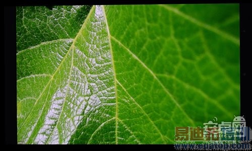 ���ɴ���X7���⣺��ս����MX4/��ҫ6plus С��5��ȸ�ں�