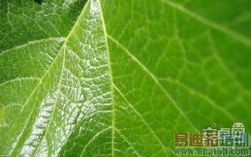 ���ɴ���X7���⣺��ս����MX4/��ҫ6plus С��5��ȸ�ں�