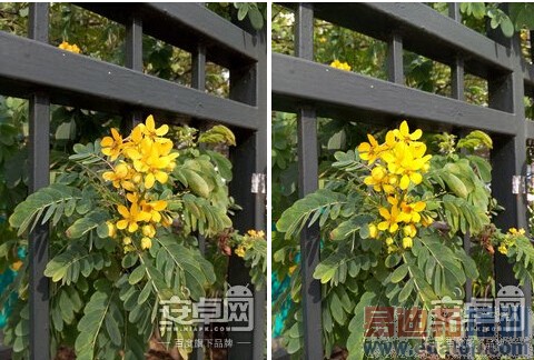 ���ɴ���X7���⣺��ս����MX4/��ҫ6plus С��5��ȸ�ں�