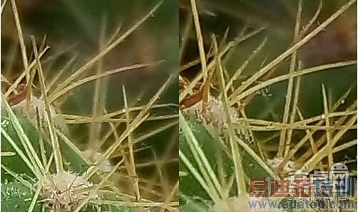 ���ɴ���X7���⣺��ս����MX4/��ҫ6plus С��5��ȸ�ں�