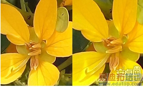 ���ɴ���X7���⣺��ս����MX4/��ҫ6plus С��5��ȸ�ں�