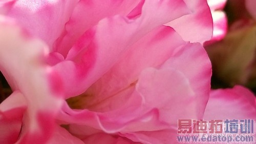 F1.8��ȦOIS��ѧ���� ����X7���������26��ͼ