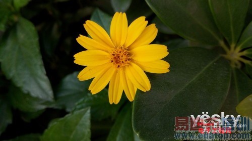 ����X7 360&deg;����������+ͼ�ͣ�������MT6595�ܷ�47000+ С��5��Ҫ������