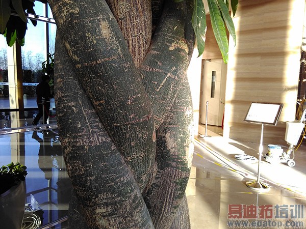 ����2ȫ��λ��������ͨ����410�ĺ�699��������忴����