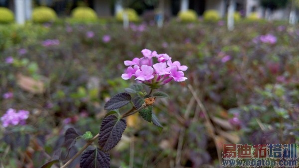 ���ɴ���X7��ȫ���⣺�������Ͻ��п�+˫��������+�������ã�