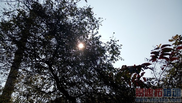 ���ɴ���X7��ȫ���⣺�������Ͻ��п�+˫��������+�������ã�