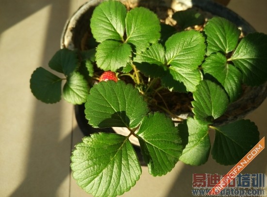 С��Note�Ա�����MX4 Pro���콢֮��˭���ã�