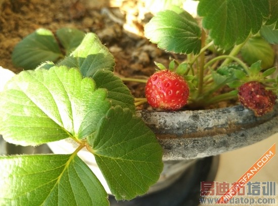 С��Note�Ա�����MX4 Pro���콢֮��˭���ã�