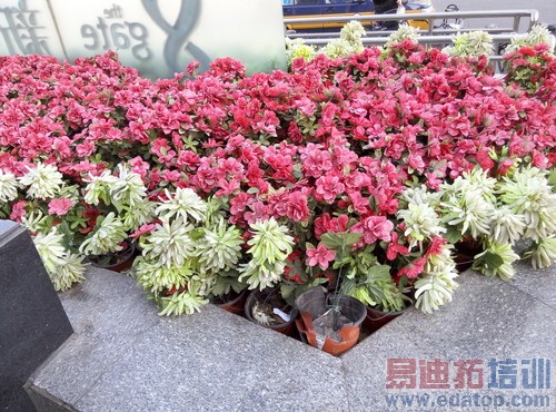 ����ȥ��ģʽ 699Ԫ�����ֻ����������15��ͼ