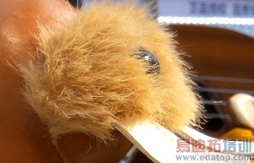 新添去霾模式 699元魅蓝手机拍照体验第28张图