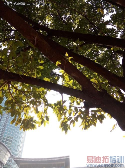 ����˵Ĺ�ѧ�����ֻ� ����X7���ղ���