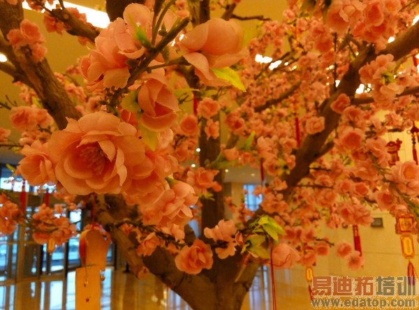 699��λ����5���������������� ����2���Ƕ���