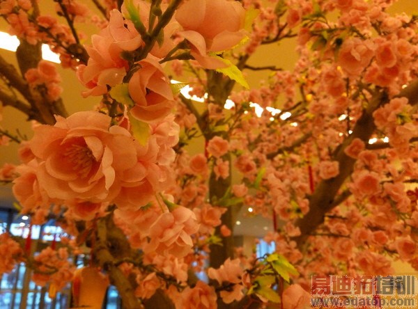 699��λ����5���������������� ����2���Ƕ���