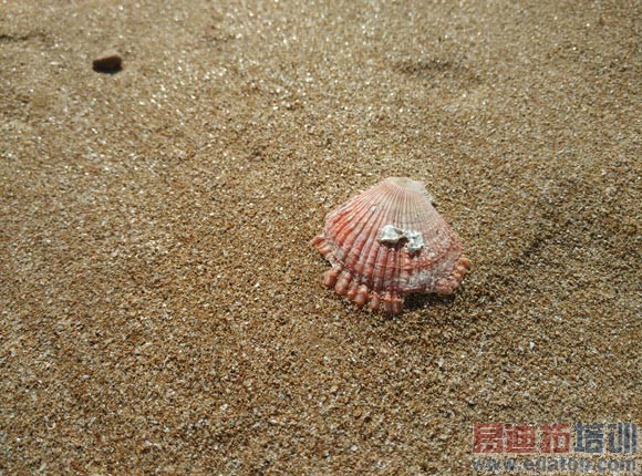 С��Note����������⣺iPhone6��ѻ�׬�˻���ɵ�ˣ�