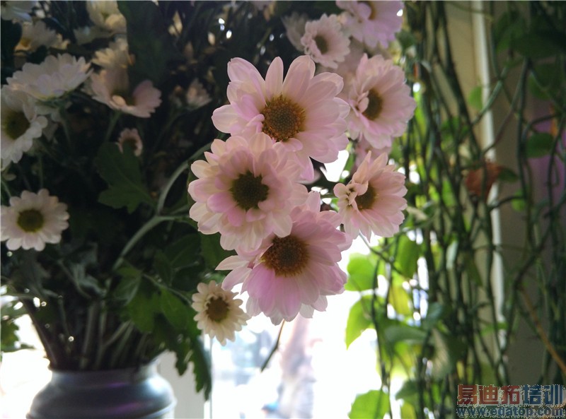 С��Noteȫ��λ�������⣺2299Ԫ�±����ɱMX4 Pro?