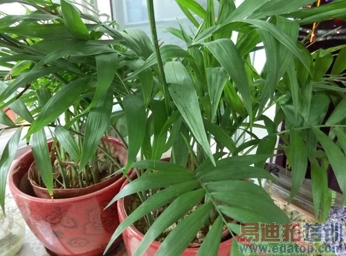 ����699Ԫ5Ӣ�����ĺ�ȫ��λ���� ����2�ѿ���