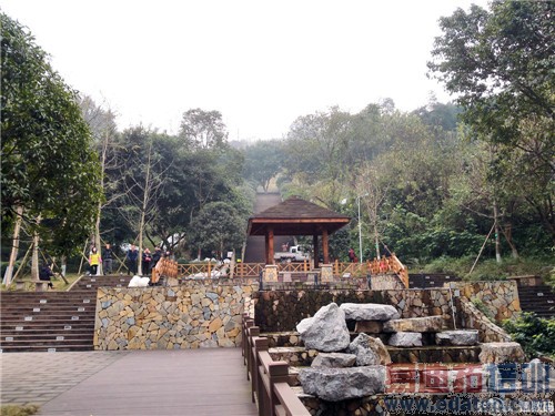 ��ҫ6 Plus������ ��ˮս�����˹˭���滪Ϊ��