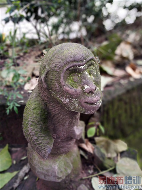 ��ҫ6 Plus������ ��ˮս�����˹˭���滪Ϊ��