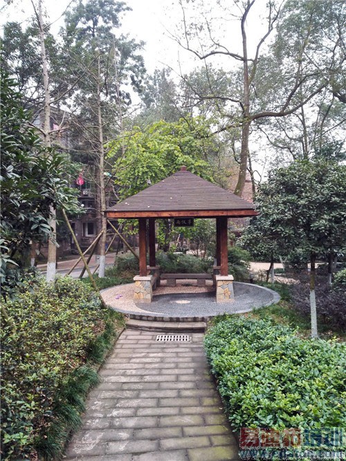 ��ҫ6 Plus������ ��ˮս�����˹˭���滪Ϊ��