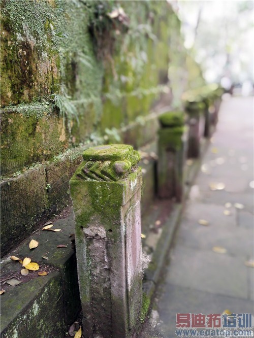 ��ҫ6 Plus������ ��ˮս�����˹˭���滪Ϊ��