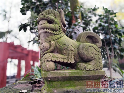 ��ҫ6 Plus������ ��ˮս�����˹˭���滪Ϊ��