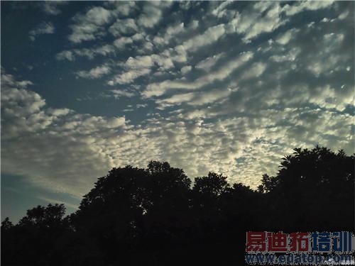 ��Ϊ��ҫ6 Plus���ʹ�ñ��棺Moto X/С��Note̫�ۣ�