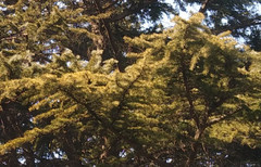 ��ƽ�ľ�ͷ������� С��Note���������14��ͼ