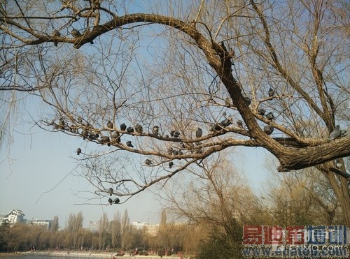 拍平的镜头表现如何 小米Note拍照体验第24张图