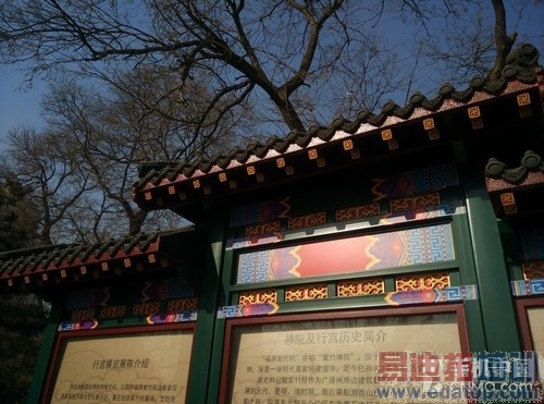 拍平的镜头表现如何 小米Note拍照体验第20张图