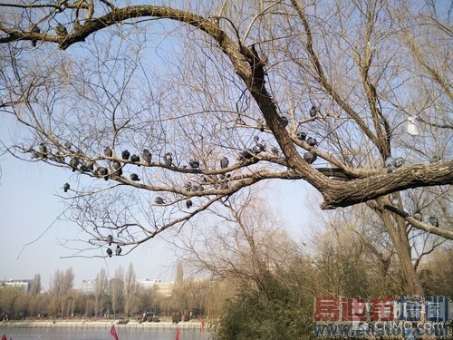 拍平的镜头表现如何 小米Note拍照体验第25张图