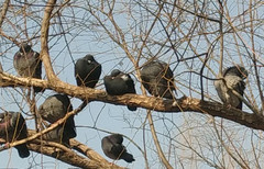 ��ƽ�ľ�ͷ������� С��Note���������26��ͼ