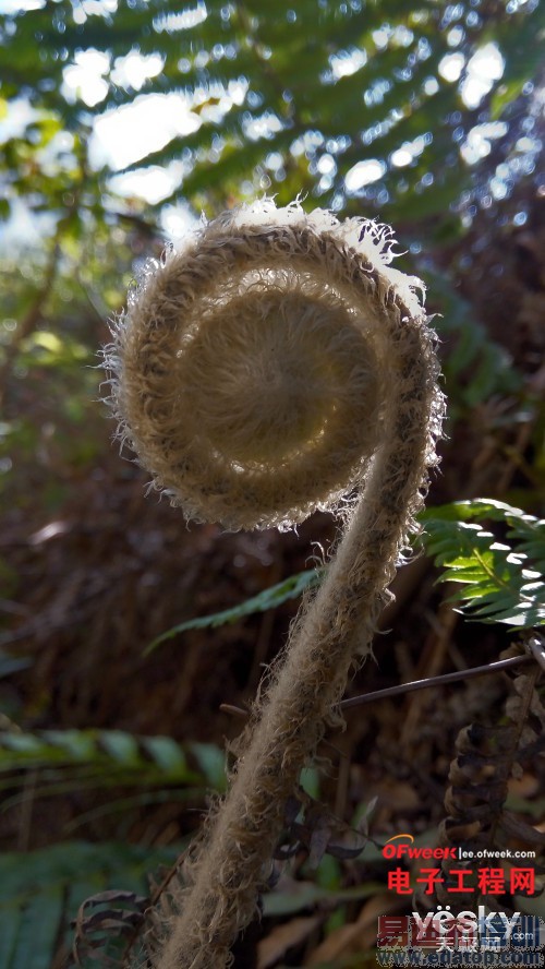 ����X7��С��4�Ա����⣺������Ϯ