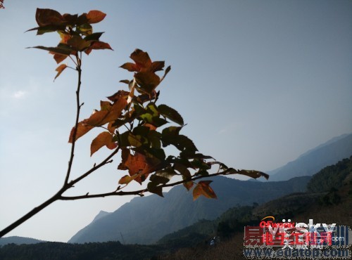 ����X7��С��4�Ա����⣺������Ϯ