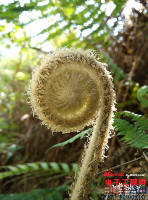 ����X7��С��4�Ա����⣺������Ϯ