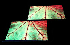 С��Noteȫ��Ա�MX4 Pro���� ˭����2ǧ���콢���ʣ�