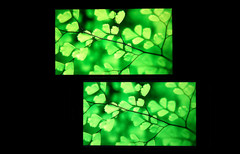 С��Noteȫ��Ա�MX4 Pro���� ˭����2ǧ���콢���ʣ�