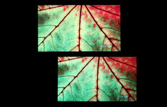 С��Noteȫ��Ա�MX4 Pro���� ˭����2ǧ���콢���ʣ�