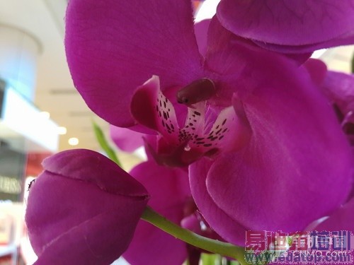 С��Noteȫ��Ա�MX4 Pro���� ˭����2ǧ���콢���ʣ�