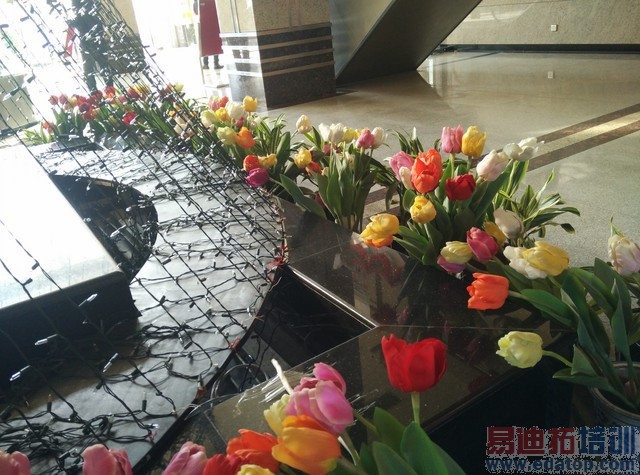 ����MX4 С��Note�Ա����⣺���500 �Լ۱��񻰱��ս᣿