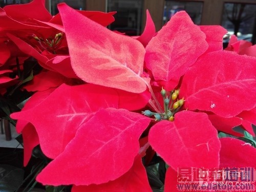 �۸�ֻ��100Ԫ ����2������K3�Ա������13��ͼ