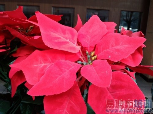 �۸�ֻ��100Ԫ ����2������K3�Ա������14��ͼ