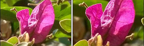 ��Ԫ֮��Ĳ���ж��MX4/����Note���նԱ�