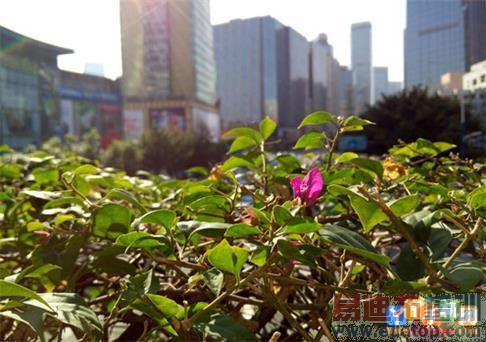 ��Ԫ֮��Ĳ���ж��MX4/����Note���նԱ�