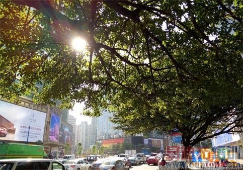 ��Ԫ֮��Ĳ���ж��MX4/����Note���նԱ�