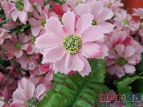 ��ʯ����ƽ����� ҫ�����콢OPPO R1C���� 