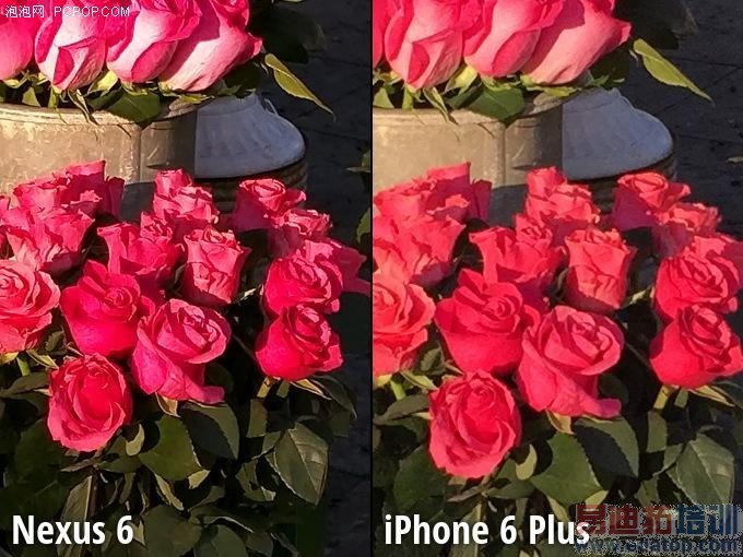 Moto Nexus 6/iPhone 6 Plus 拍照对比
