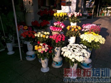 Nexus 6/iPhone 6 Plus ����˭��ǿ��