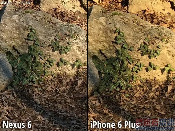 Moto Nexus 6/iPhone 6 Plus ���նԱ� 