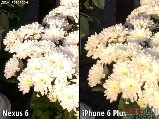 Moto Nexus 6/iPhone 6 Plus 拍照对比